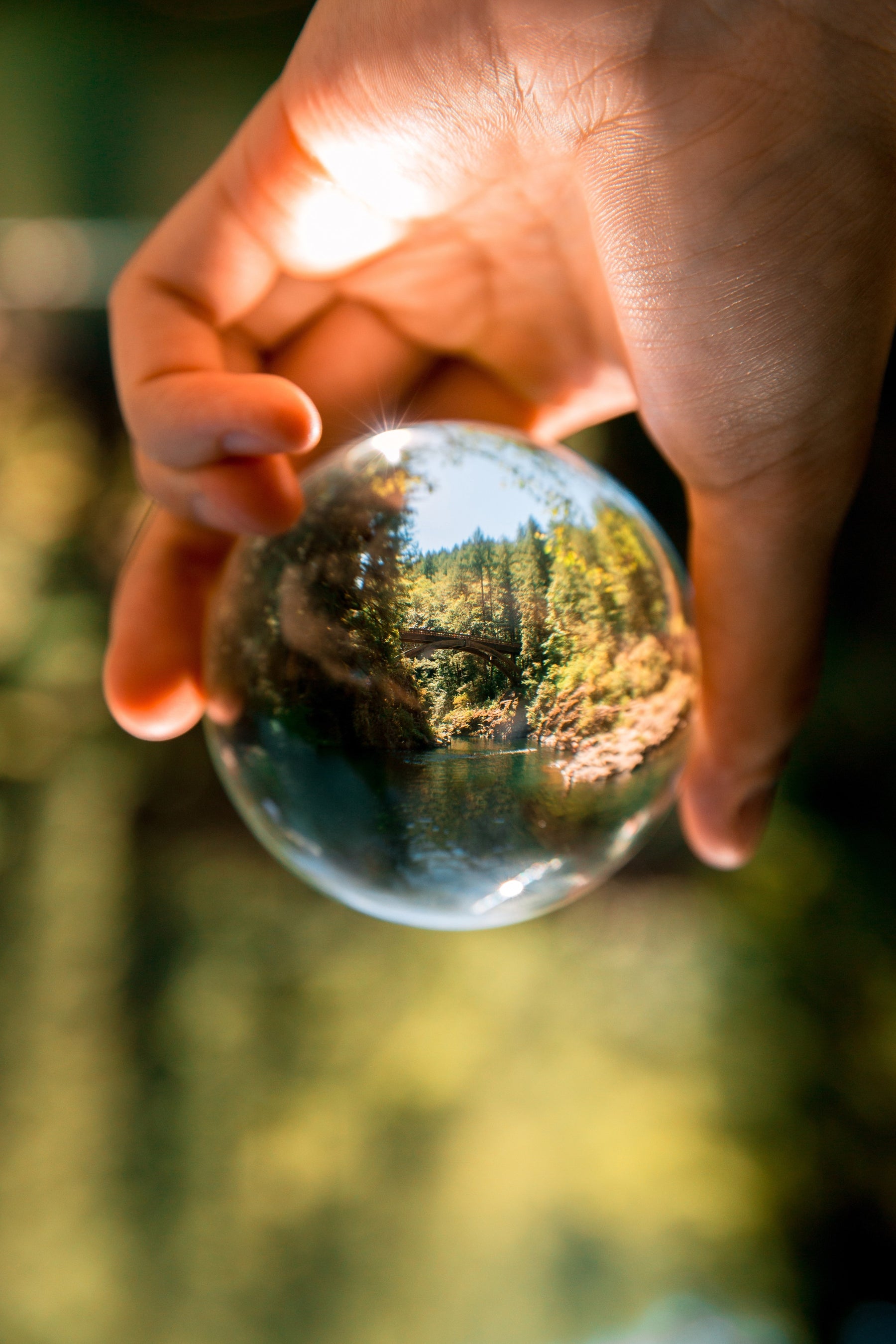 Cop26: Cómo impactan estos acuerdos en nuestro día a día?