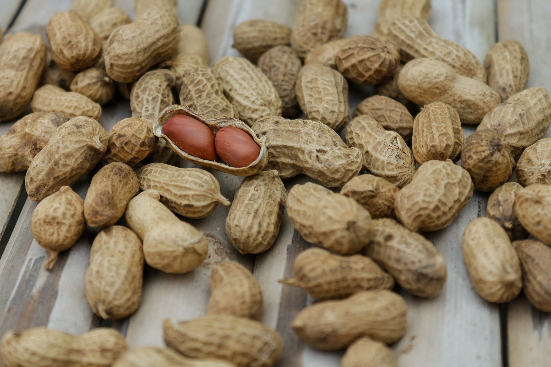 El maní: Una legumbre disfrazada de fruto seco
