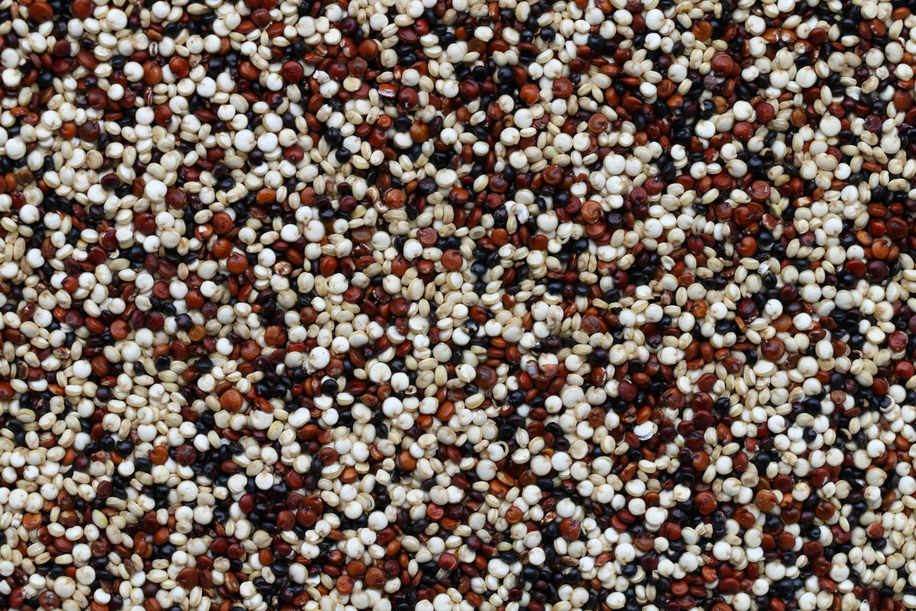 Quinoa: Descubre las propiedades de este alimento ancestral