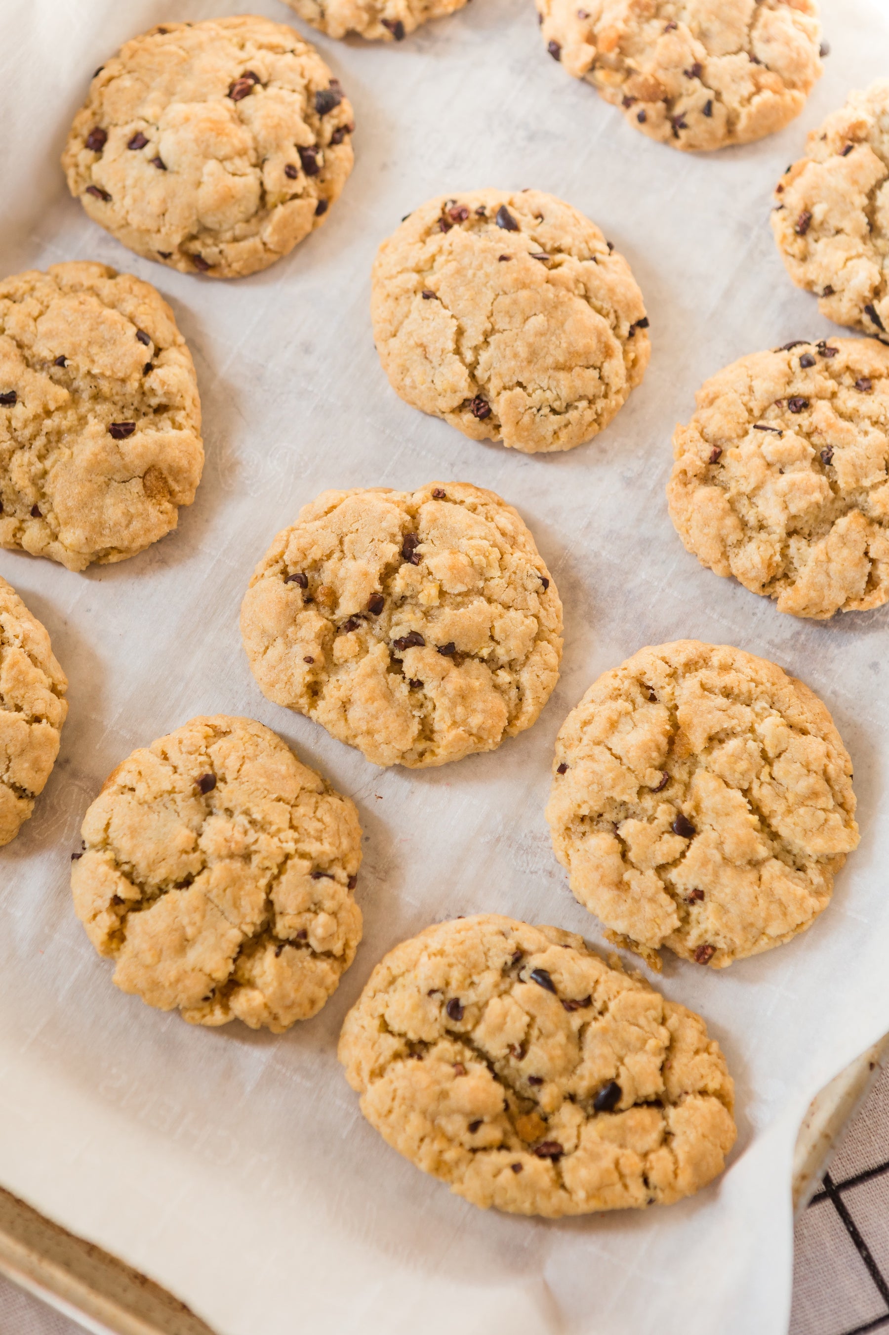 Galletas con nibs de cacao