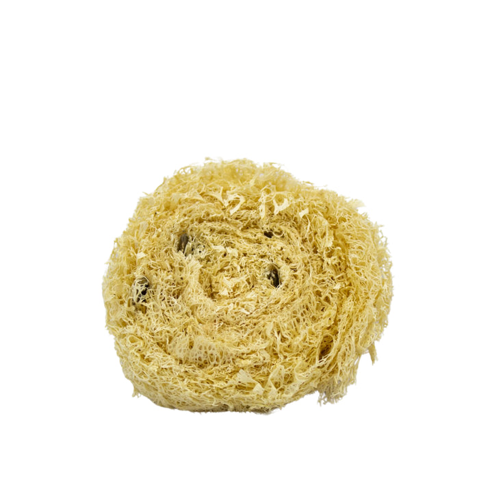Luffa Virutilla