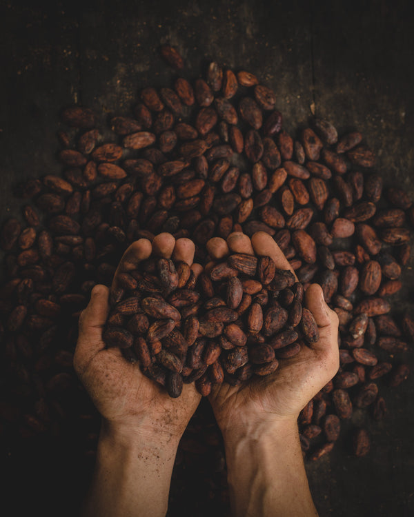 6  beneficios de incluir el cacao en tu alimentación