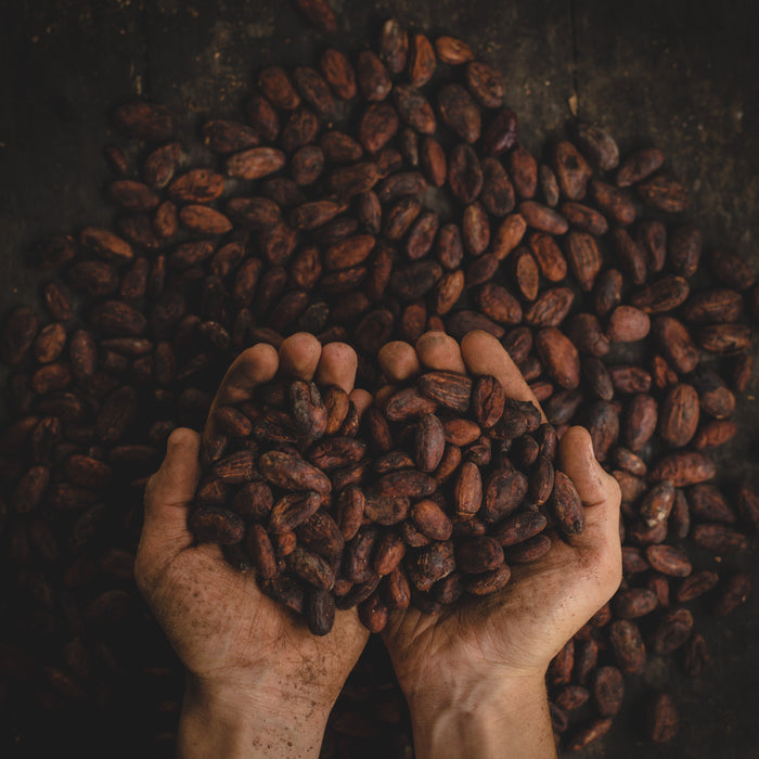 6  beneficios de incluir el cacao en tu alimentación