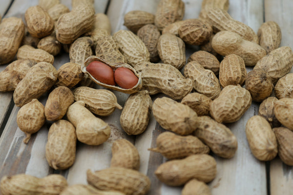 El maní: Una legumbre disfrazada de fruto seco