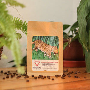 Café Guatemala Huehuetenango, tostado por Método Café