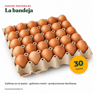 Bandeja de 30 huevos pastoriles