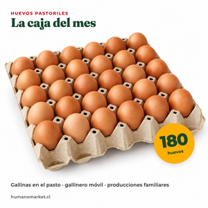 Caja de 180 huevos pastoriles
