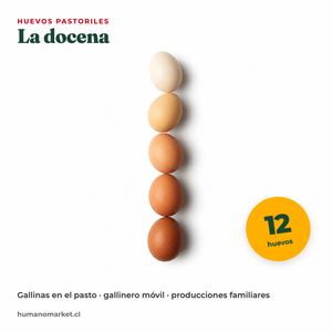 Docena de huevos pastoriles