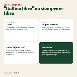 Gallina libre no siempre es libre: jaula, libre de jaula, corral abierto y pastoril