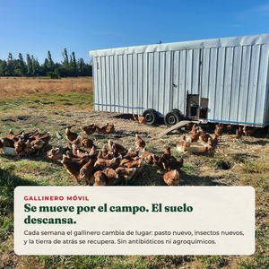 Gallinero móvil: se mueve por el campo, el suelo descansa