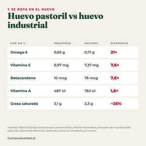 Huevo pastoril vs huevo industrial: omega-3, vitamina E, betacaroteno, vitamina A