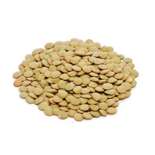 Lenteja 500 g