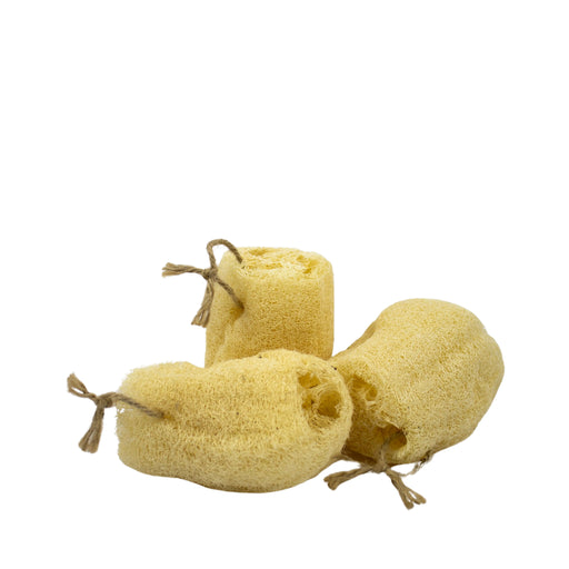 Luffa Esponja