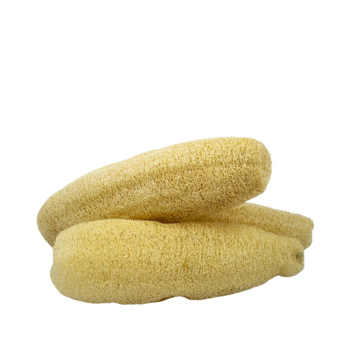 Luffa Grande