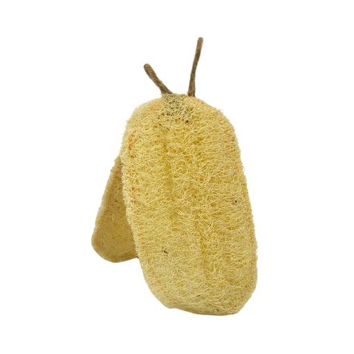 Luffa Ovalos