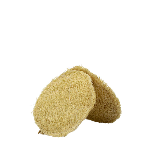 Luffa Petalos S