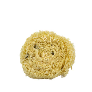 Luffa Virutilla