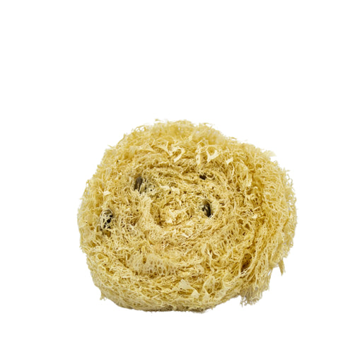 Luffa Virutilla