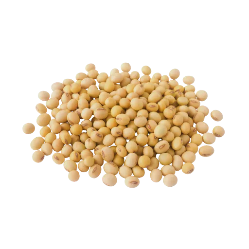 Poroto de Soja 500 g
