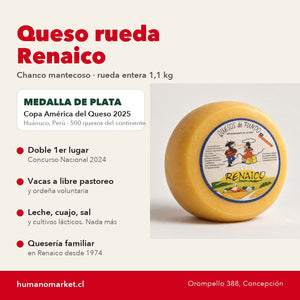 Queso rueda Renaico: medalla de plata Copa América del Queso 2025, libre pastoreo, quesería familiar desde 1974