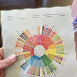 Rueda de Sabores del Catador de Café de la SCA, en español y plastificada